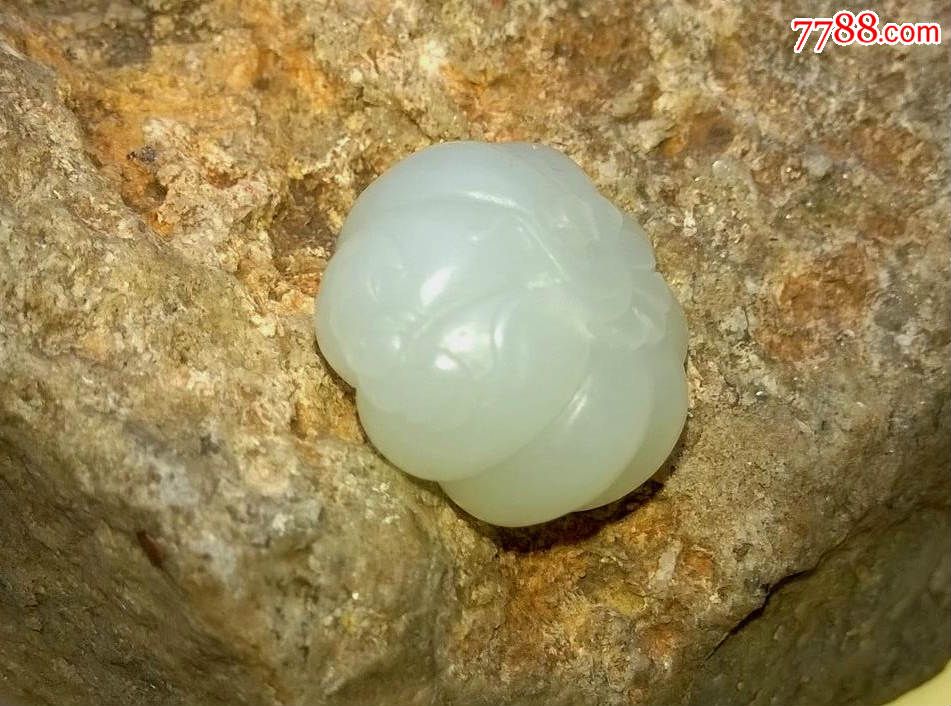 和田白玉小南瓜,福在眼前