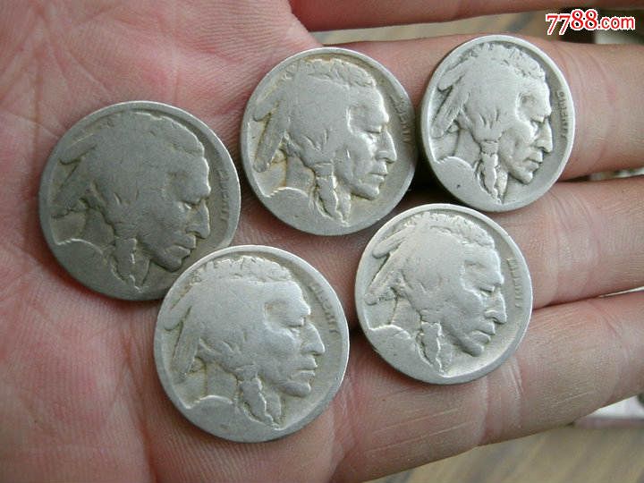 野牛镍币5枚-价格:300元-se29006513-外国钱币-零售-7788收藏__中国收