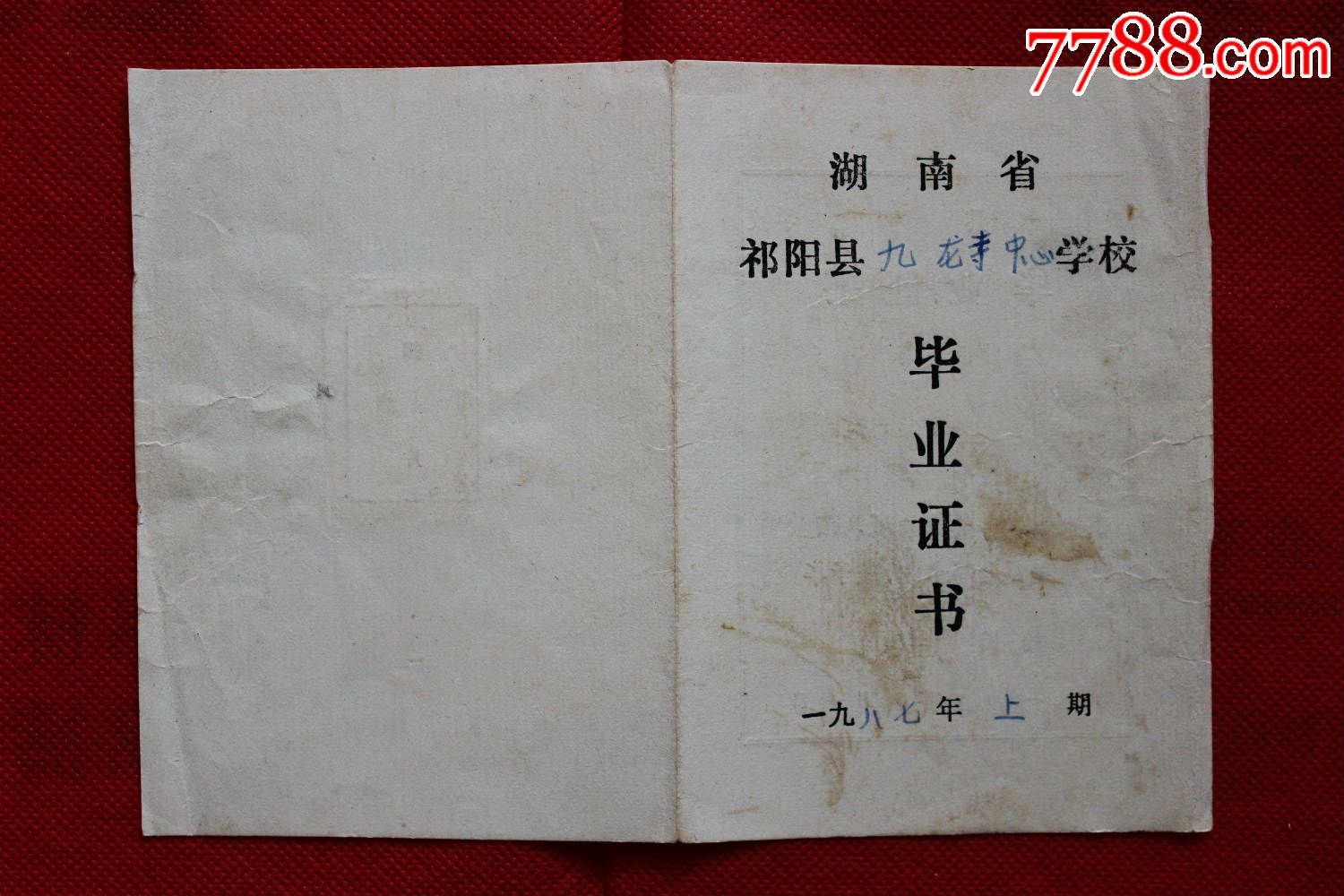 湖南祁阳县乡中心小学毕业证