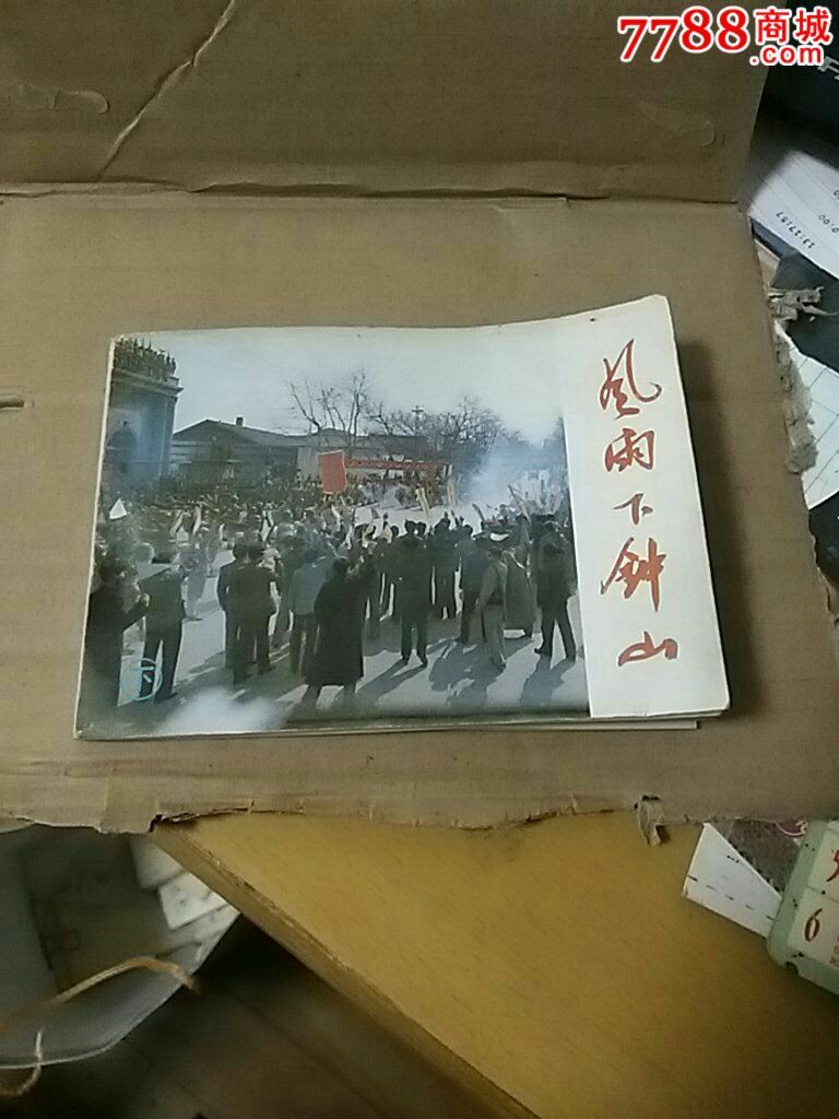 风雨下钟山（下）