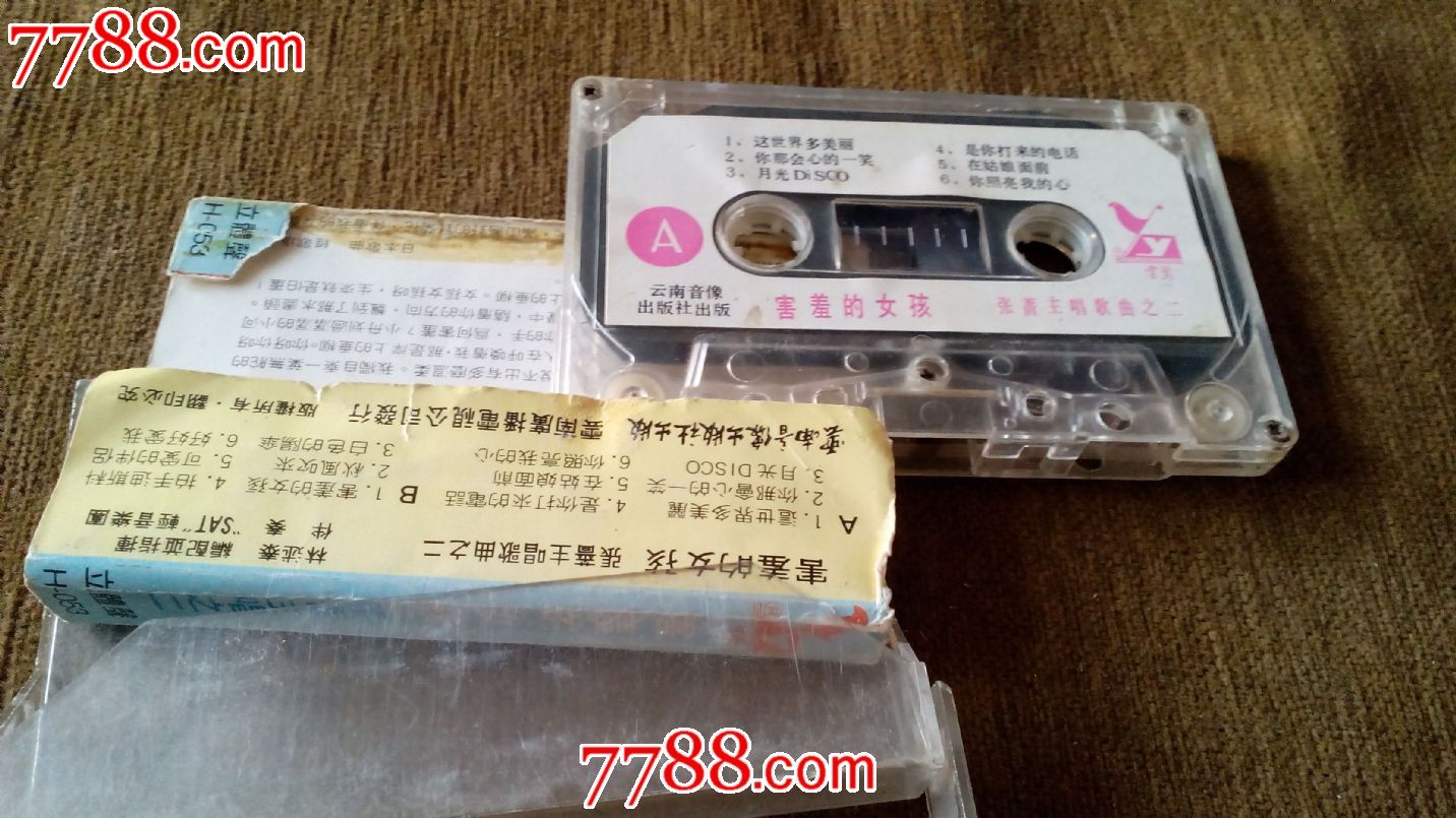 张蔷--害羞的女孩