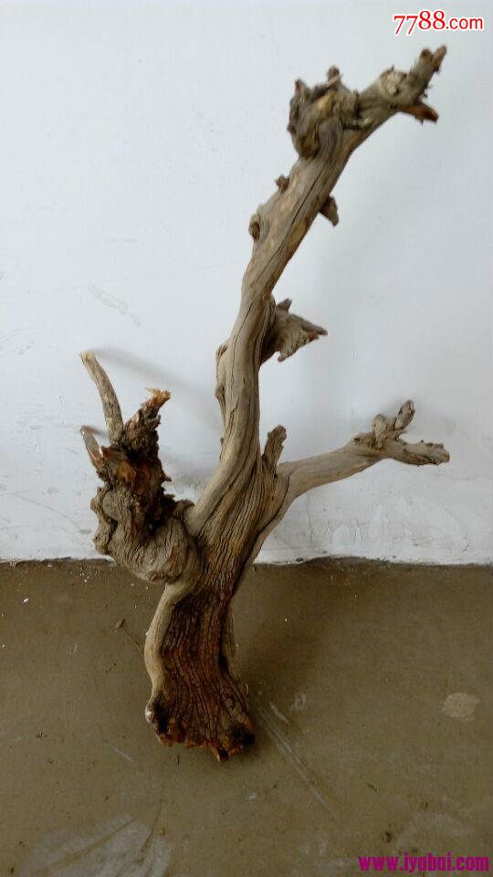 太行山西崖柏毛料——树挂-价格:200元-se30608251-木雕摆件-零售