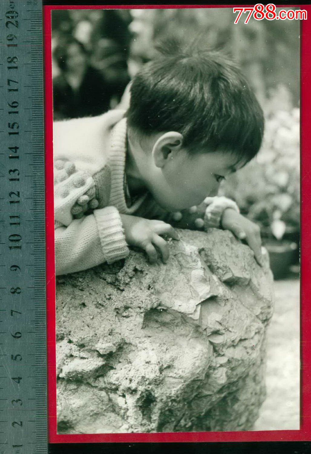 照片-->个人照片编号: se31458215, 品种: 属性: 普通人大人,年代不祥