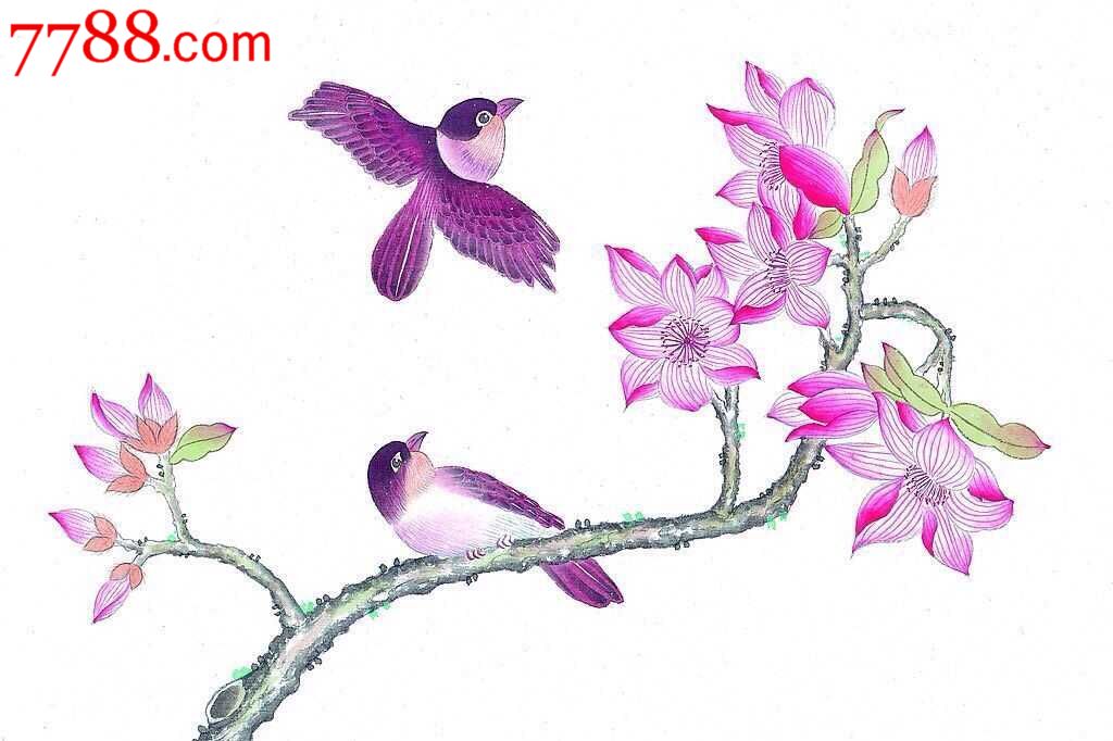 玫瑰花枝鸟作品