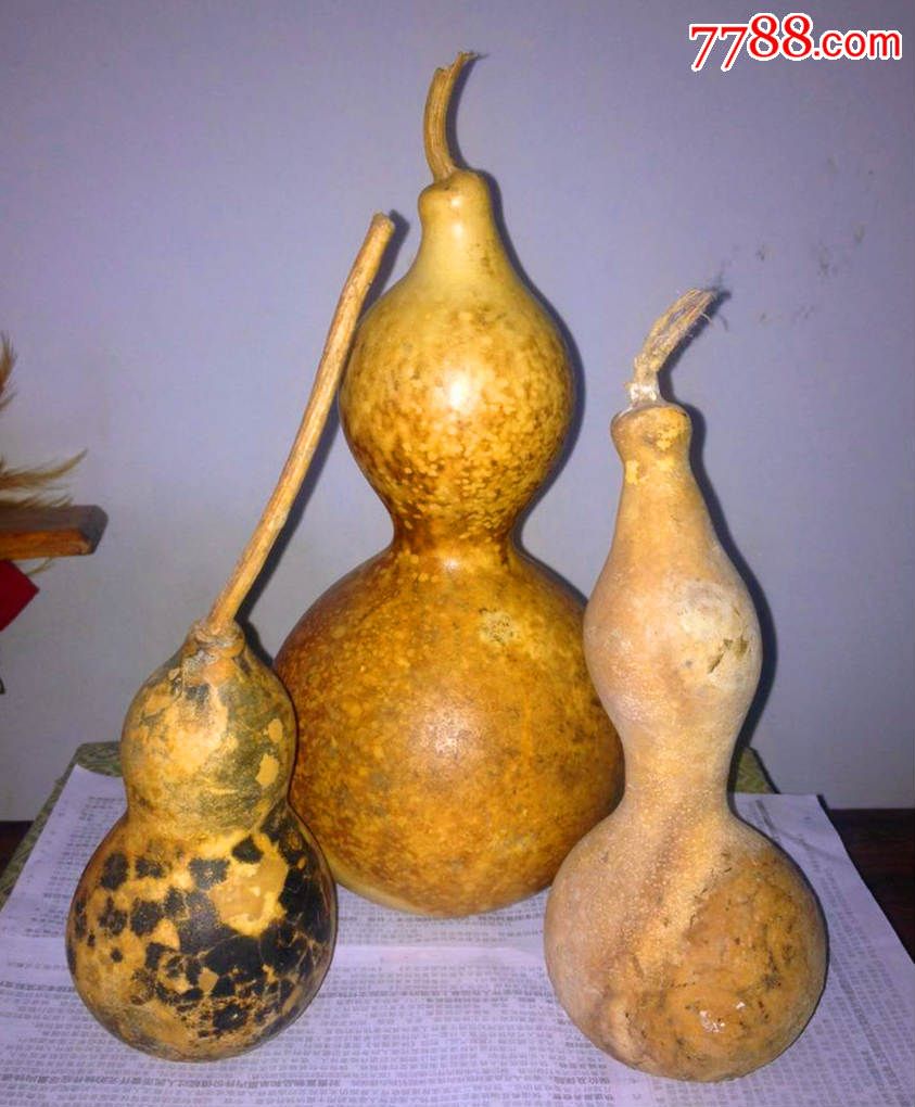 三个好看的龙头虎斑葫芦