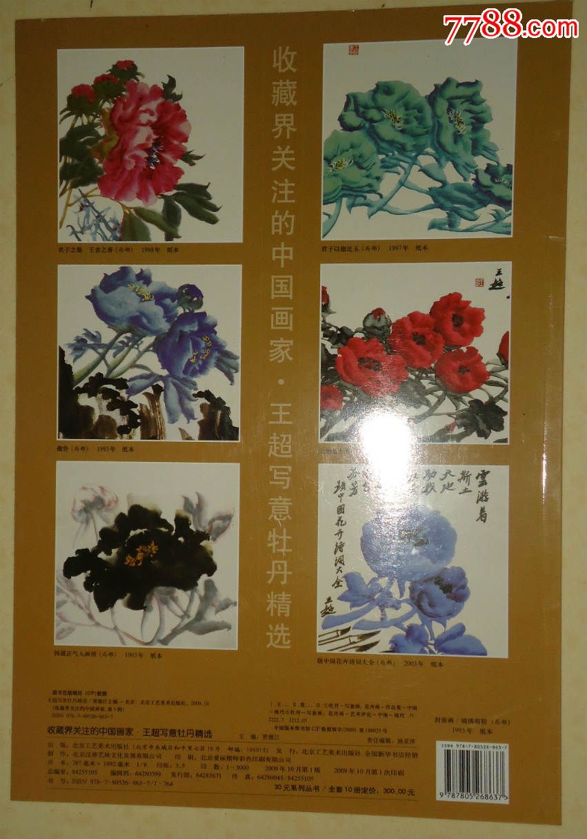 王超写意牡丹精选