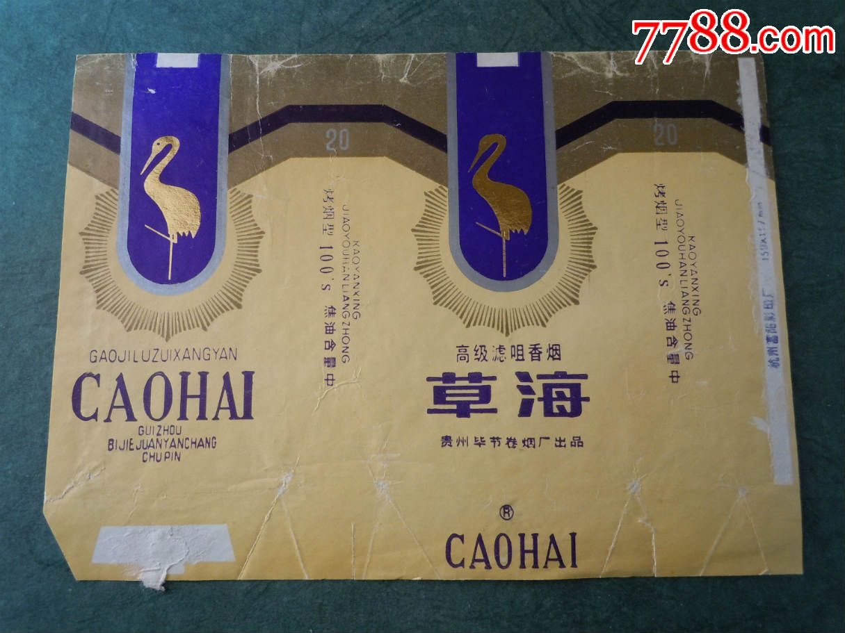 草海(100s焦中)