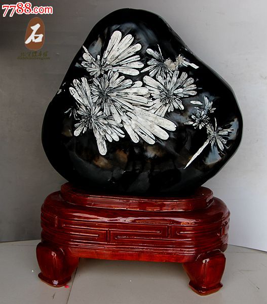 天然奇石菊花石原石天然菊花石矿石/奇石图案石/观赏石4