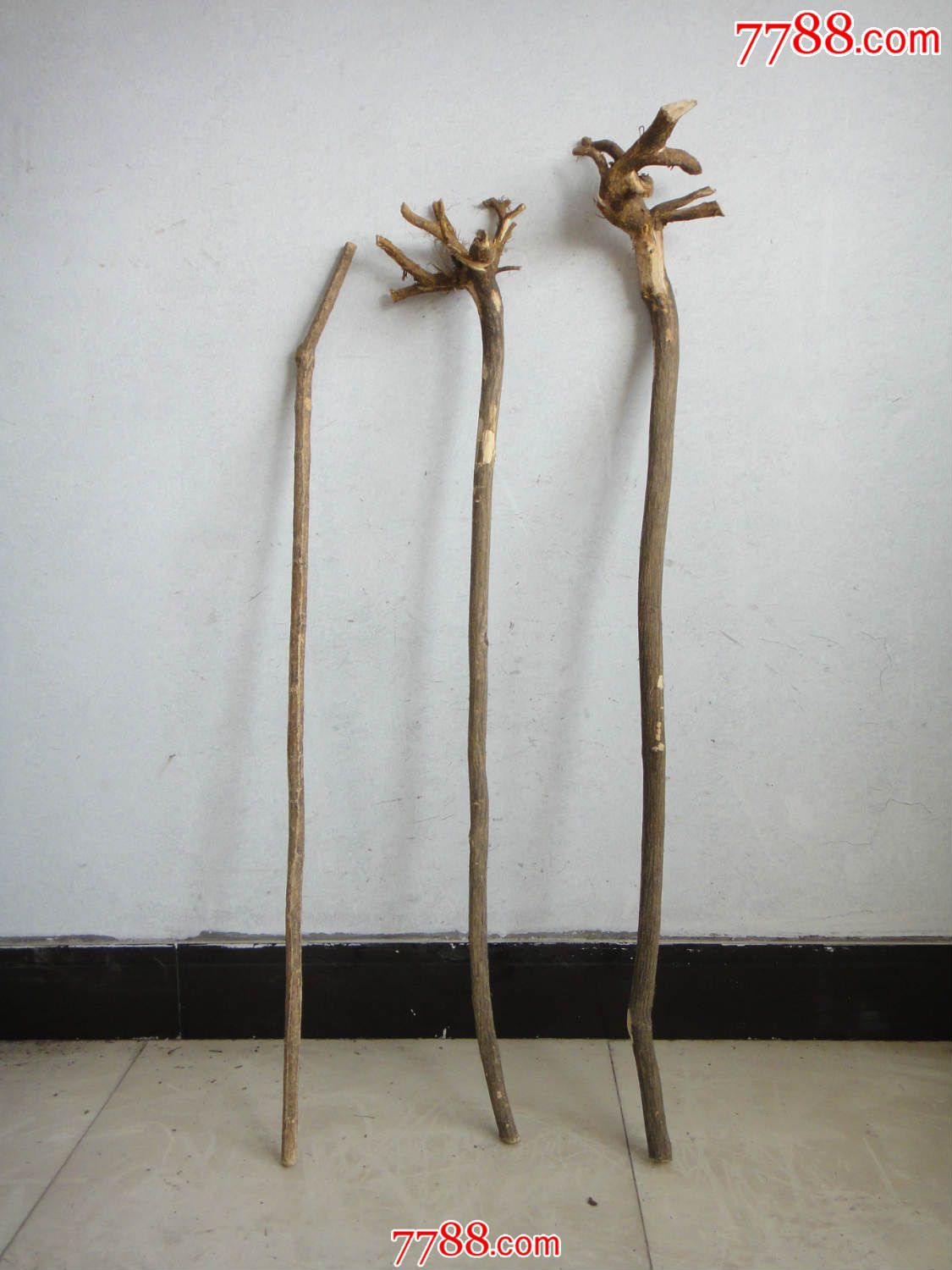 新进3根太行山"鬼见愁"拐杖单根价(纯天然,右边的已售,左边的60)
