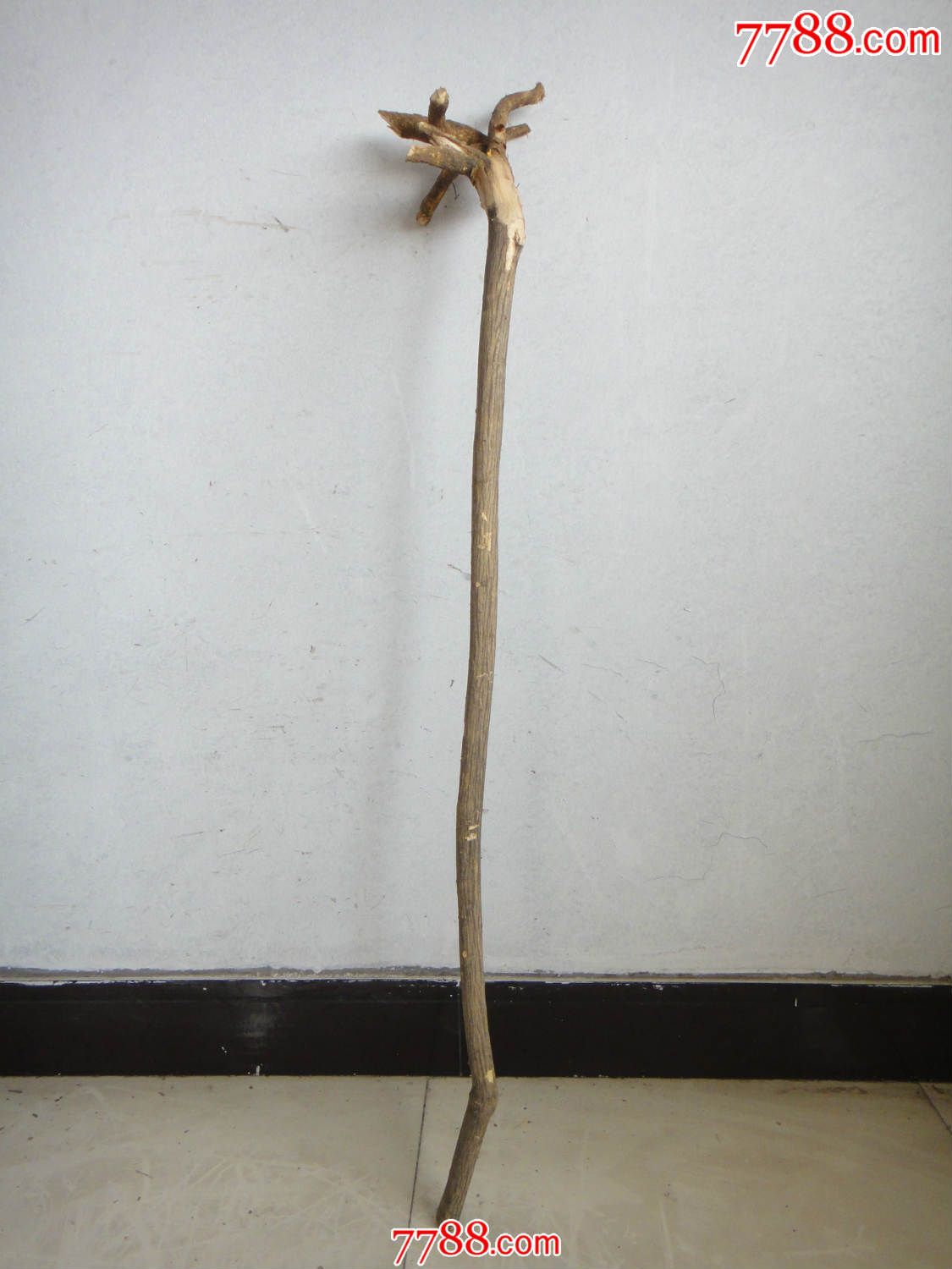 新进3根太行山"鬼见愁"拐杖单根价(纯天然,右边的已售,左边的60)
