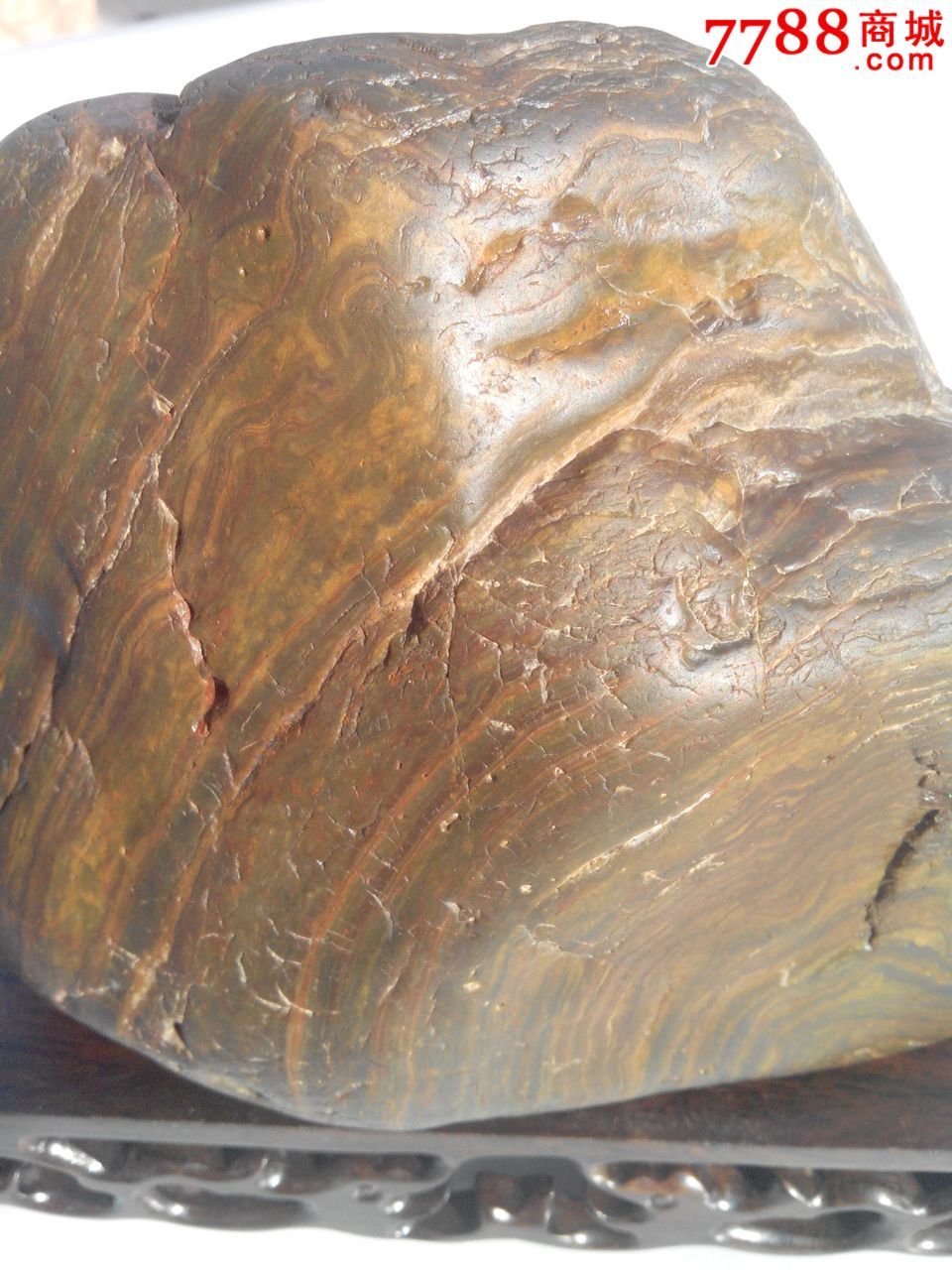 天然七彩木纹石