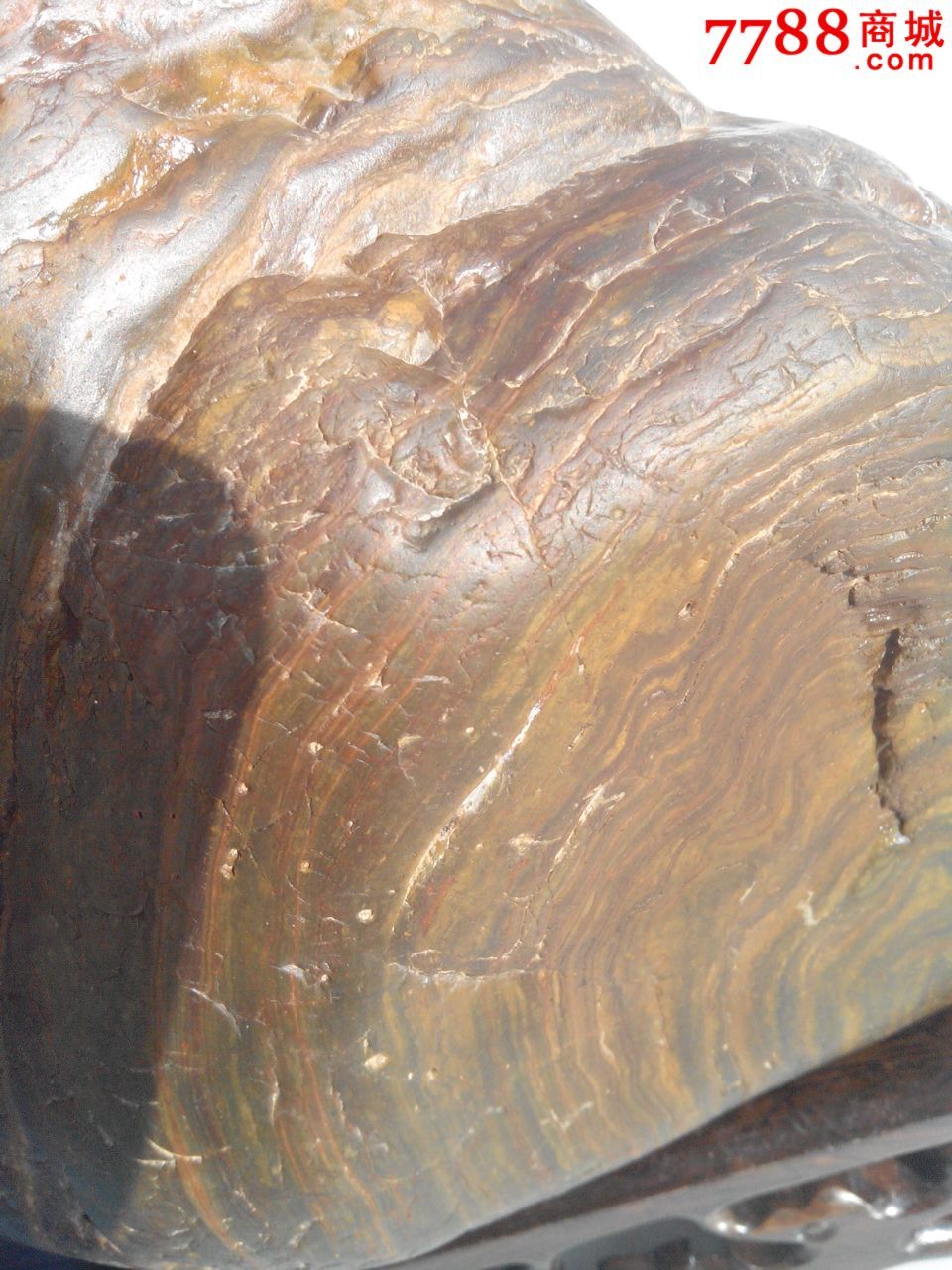 天然七彩木纹石