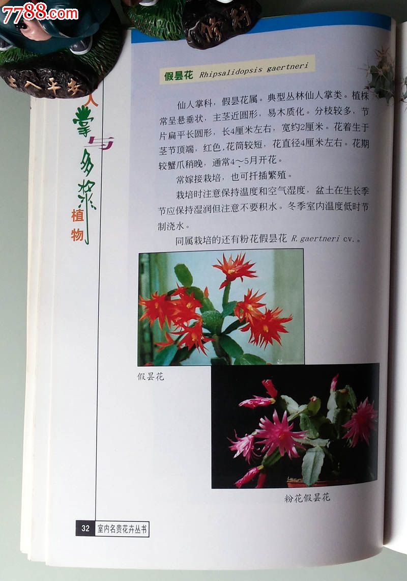 二手正版书籍《仙人掌与多浆植物》室内名贵花卉丛书