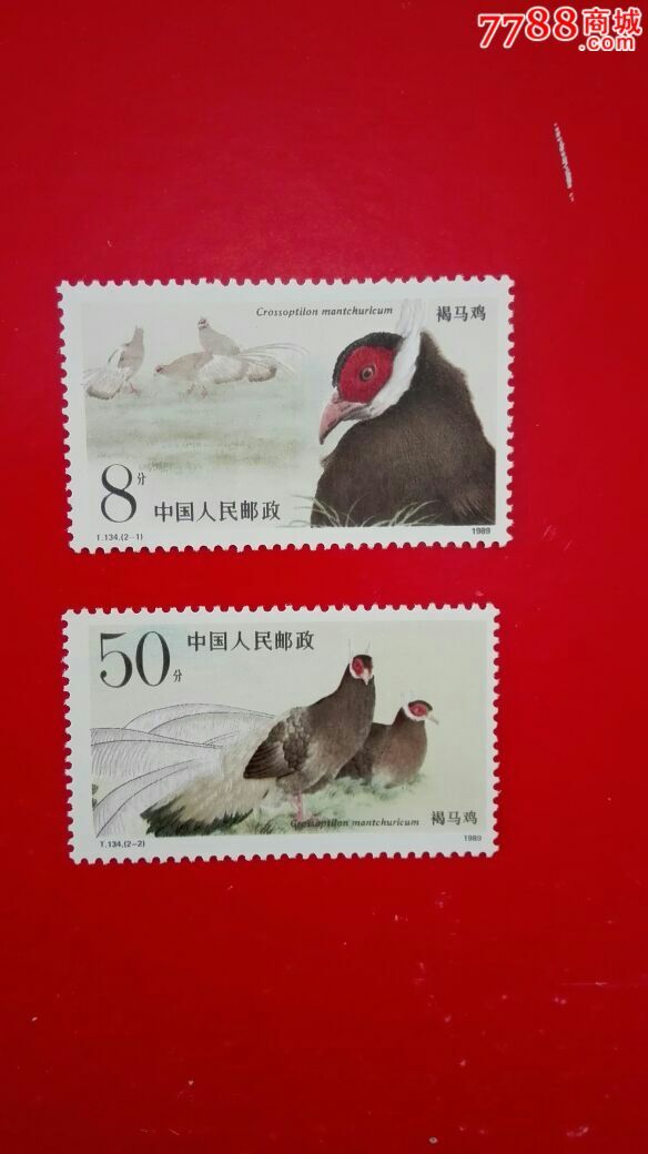 t134褐马鸡-价格:5元-se36067277-新中国邮票-零售-7788收藏__中国