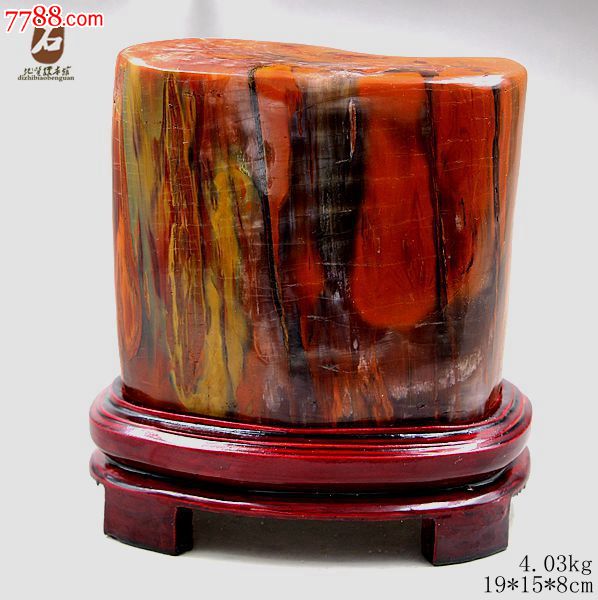 奇石新款木化石树化玉新疆硅化木树红碧玉原石头红皮木化石03