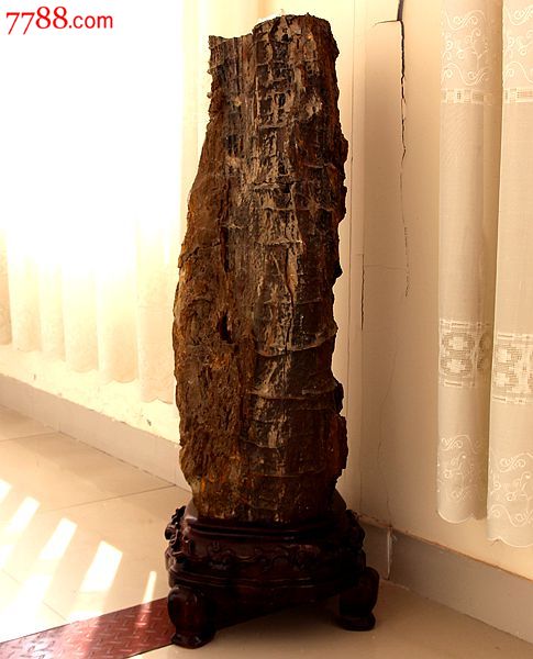 奇石头原石木化石木化玉精品木化石天然奇石树化玉观赏石摆件04