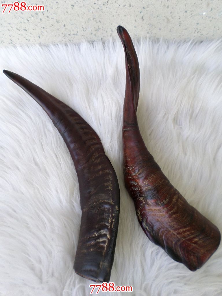 天然牛羊骨饰品摆件挂件牛角羊角制品高原*羊角原角保真