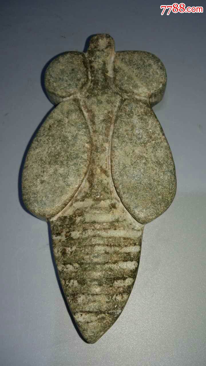 高古石蝉
