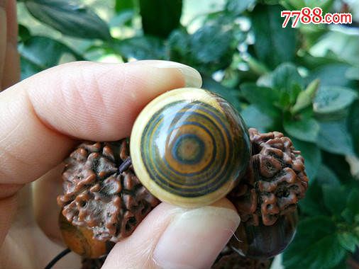 天然莫桑比克象形眼睛石玛瑙圆珠一枚17毫米直径