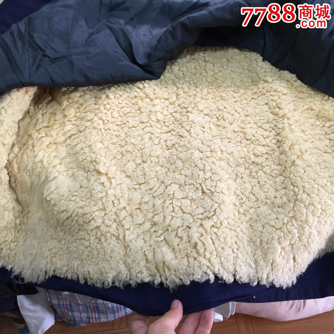 老式短款羊皮棉袄