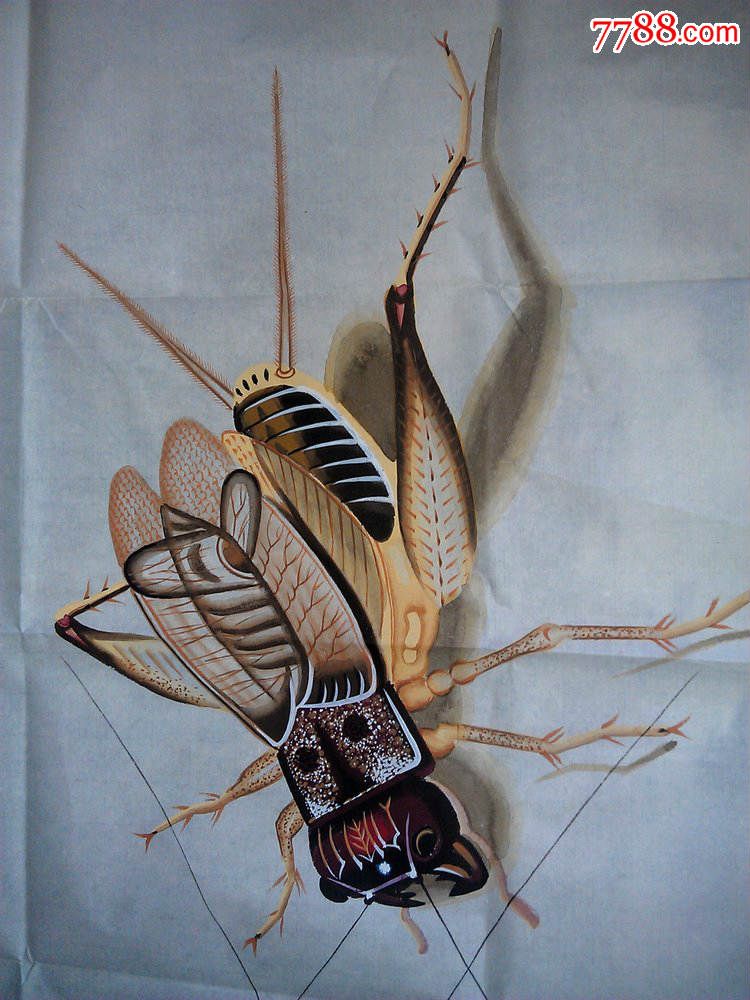 著名画家墨宇作品出售国家一级美术师墨宇(周卡)真迹蝈蝈供货