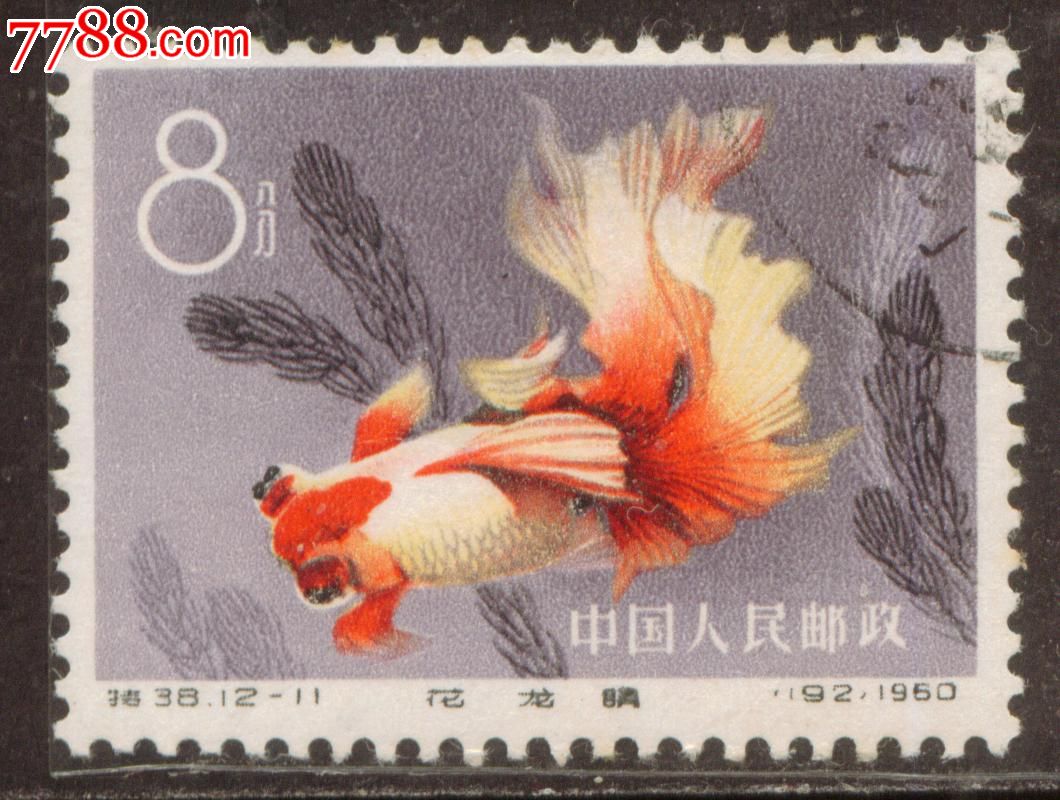特38金鱼12-11盖销邮票上品(有贴痕)