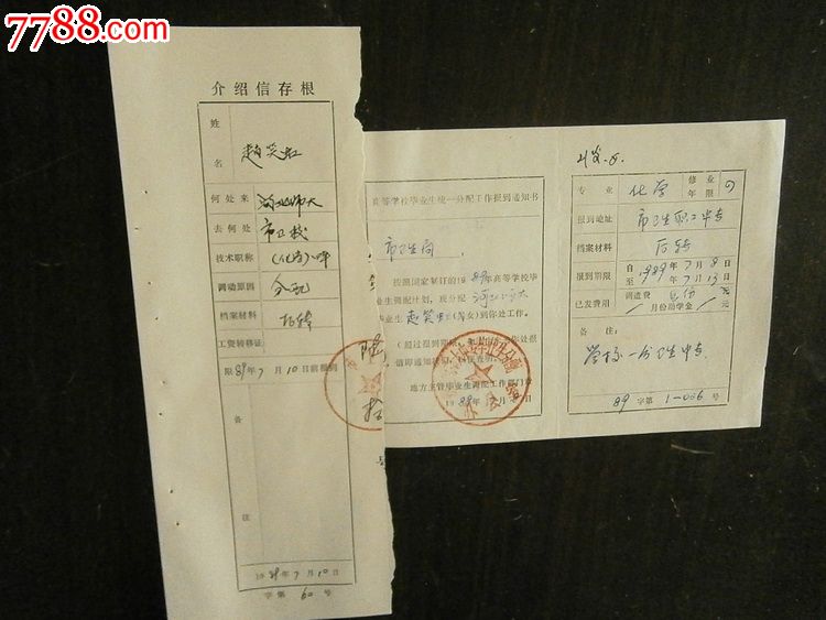 报到证,毕业/学习证件,报到证/派遣证,八十年代(20世纪),薄纸,河北