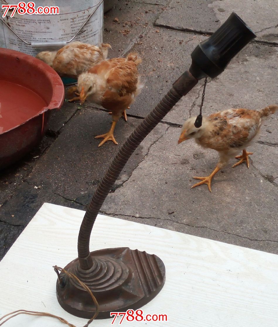 铁座老蛇皮灯-se37643605-其他铁器/钢器-零售-778