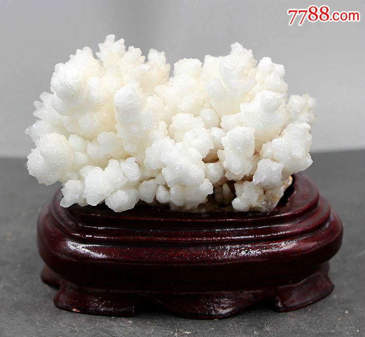 矿物晶体石头奇石原石白色花状结晶石跟糖白色钟乳石共生标本32