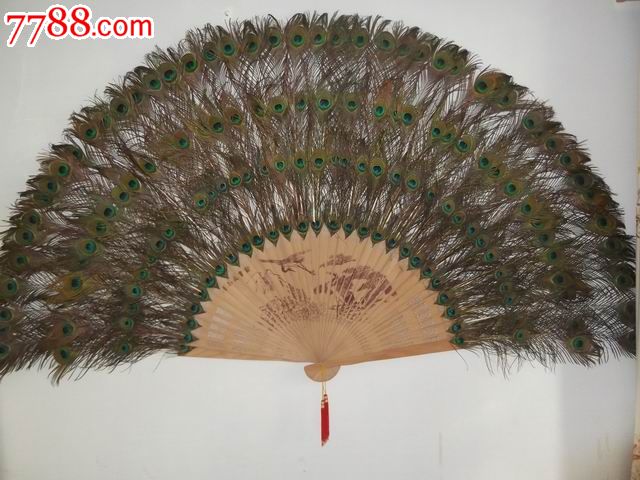 老孔雀花翎超大扇面挂画包老包真包邮