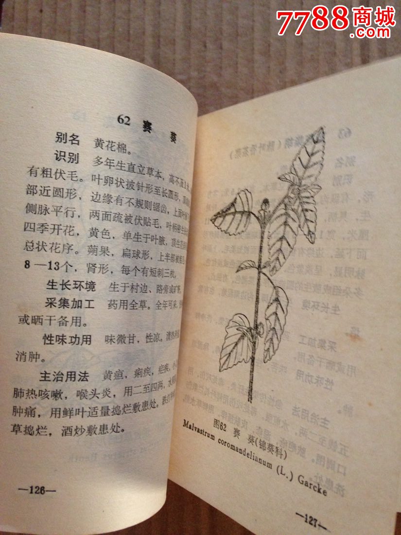 广西中草药〔第二册〕(70年1版1印,64开插图本)
