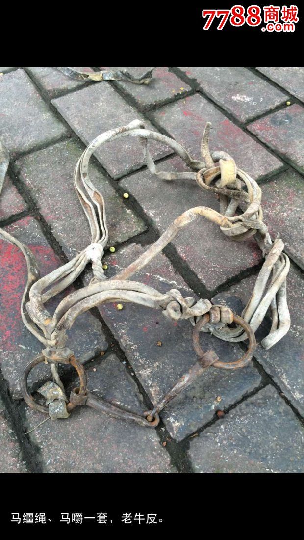 老马具马嚼子马笼头