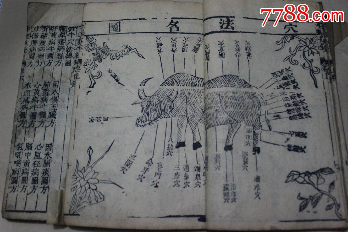 新增图注牛经大全