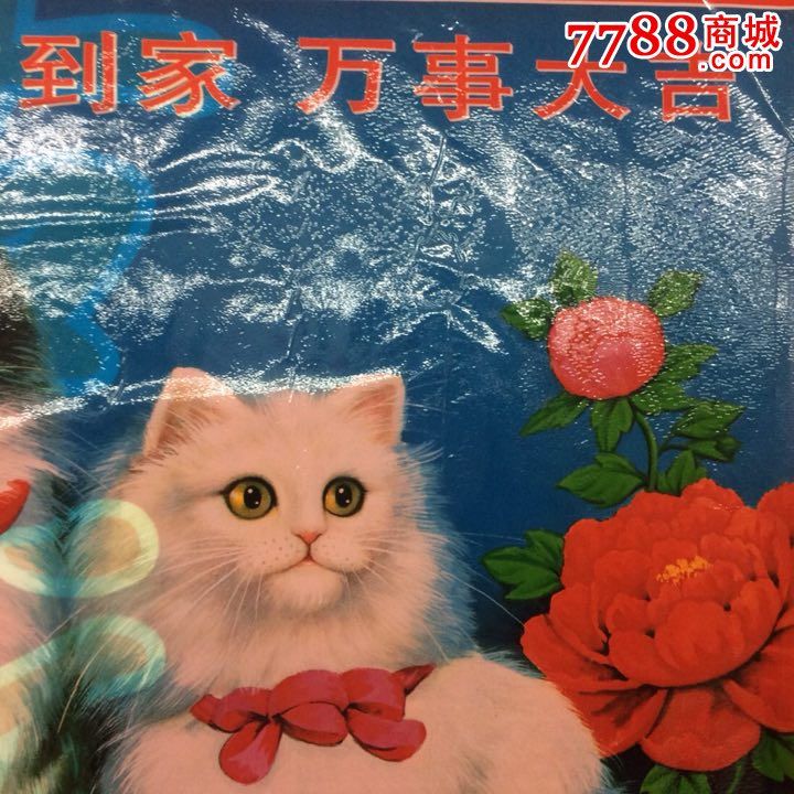 90年代塑料年华一张