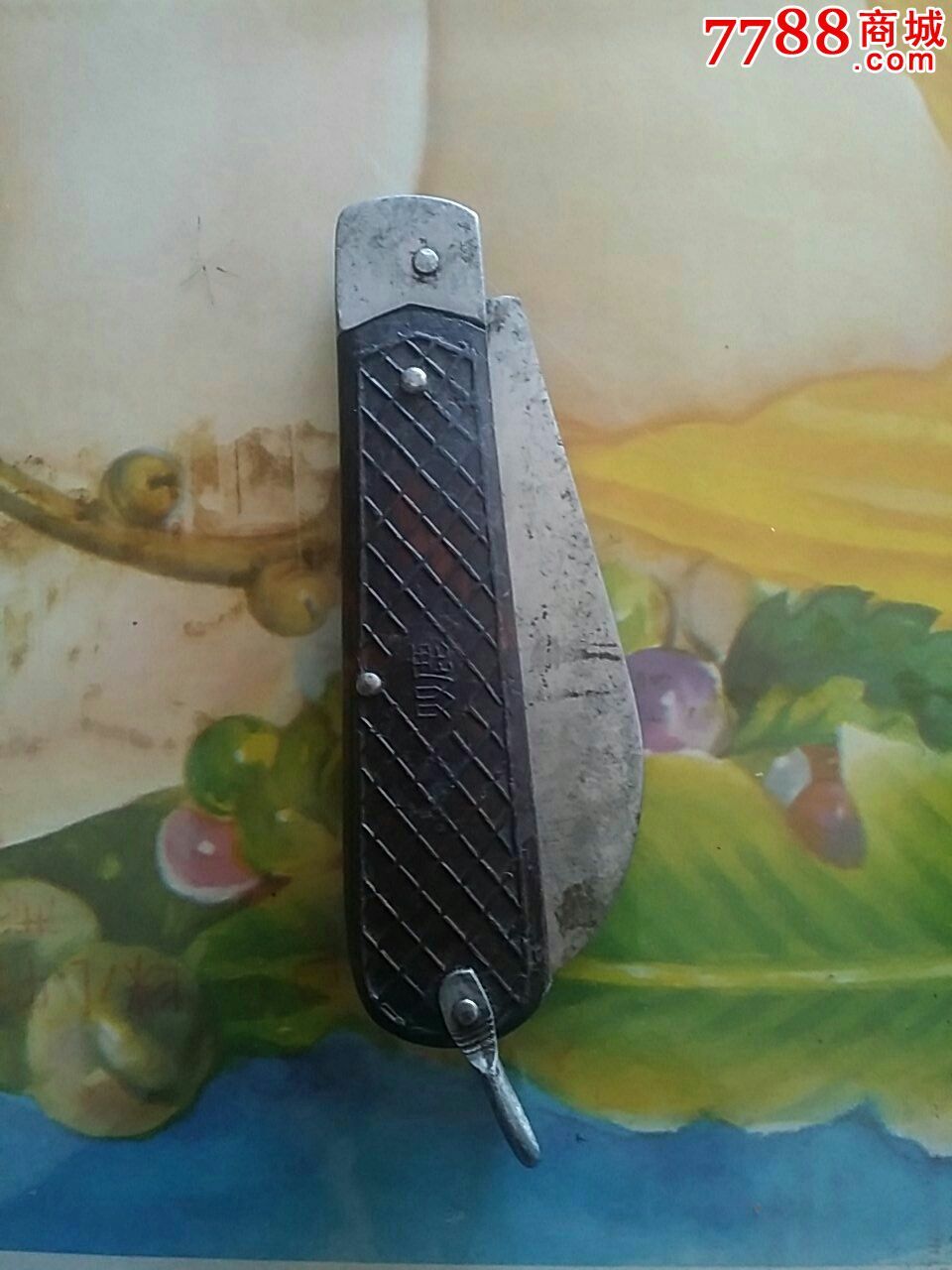 双鹿老折*电工厂