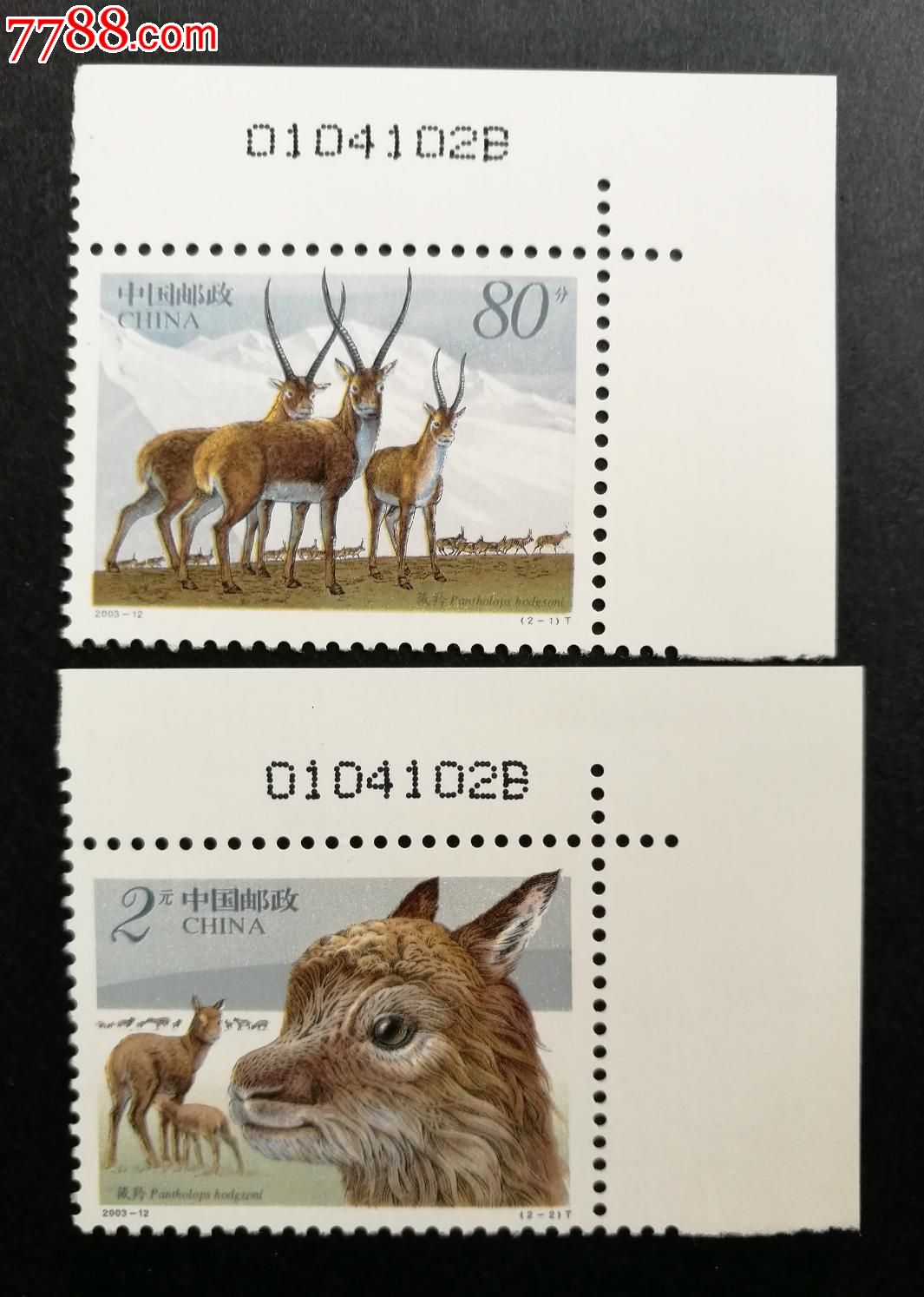 2003-12藏羚羊,右上角直角边版号套票,同号_新中国邮票_鸭绿江收藏居