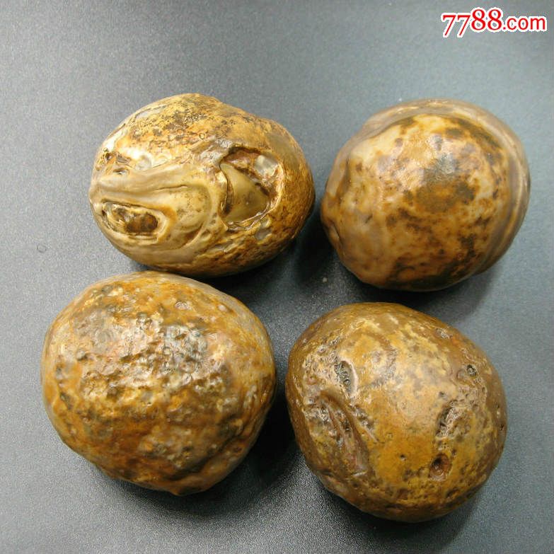 四喜丸子埃及戈壁沙漠地表玛瑙原石精品观赏低价促销