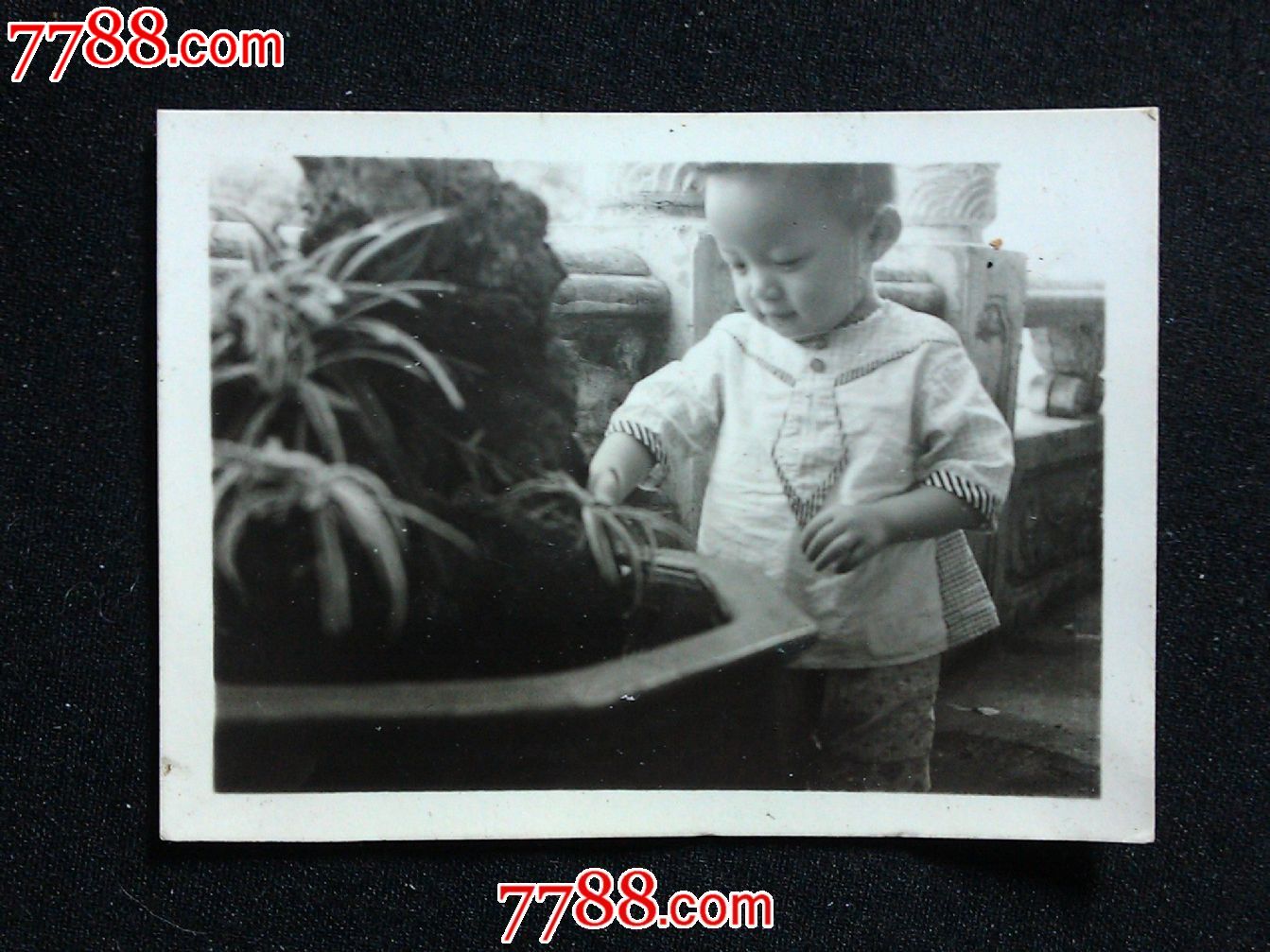 八十年代老照片:宝宝从小爱假山【尺寸6.0x4.8公分】!