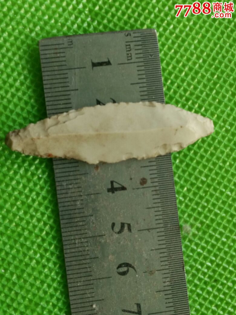 首见极美红山石叶