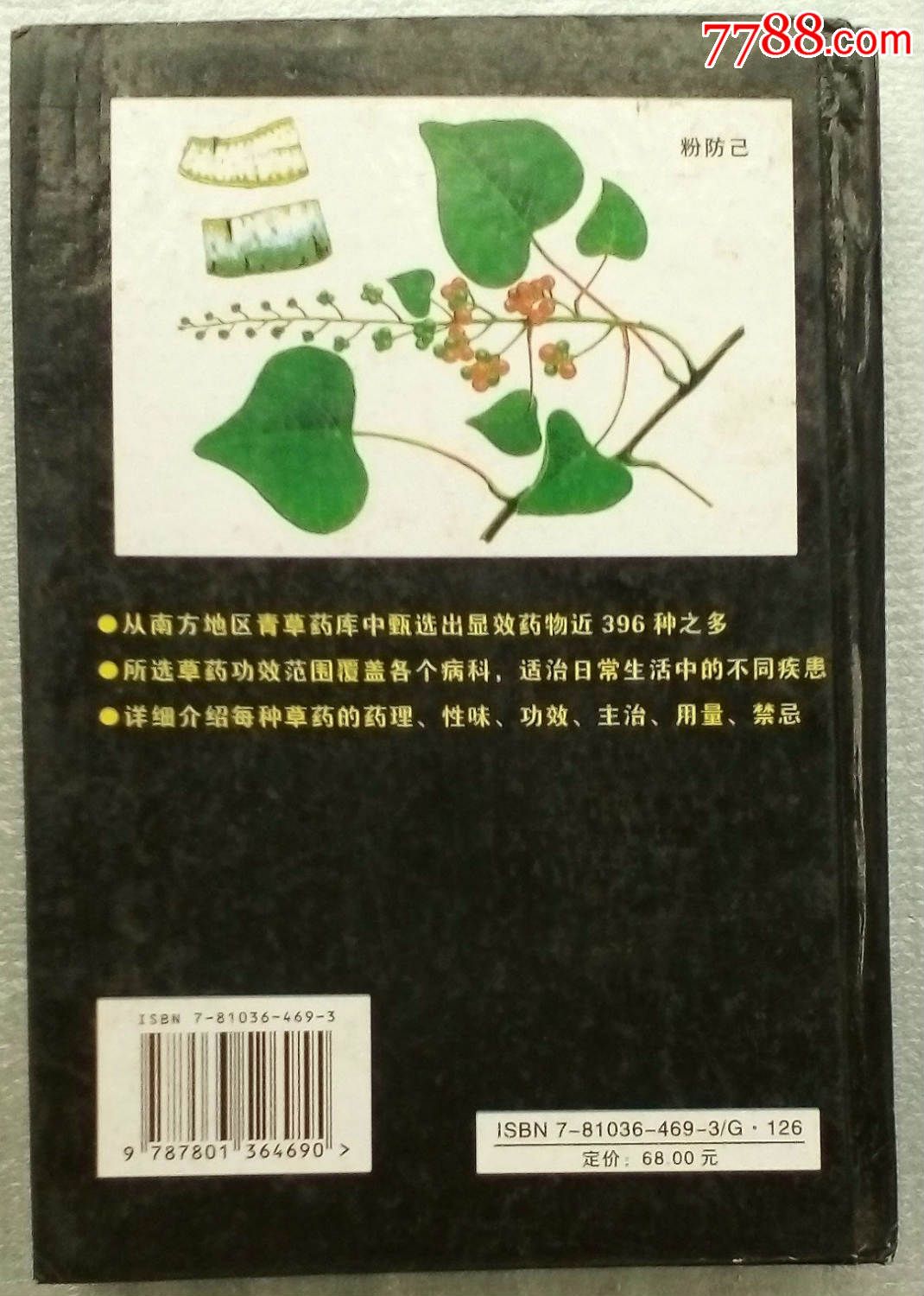 青草药全书带图图片