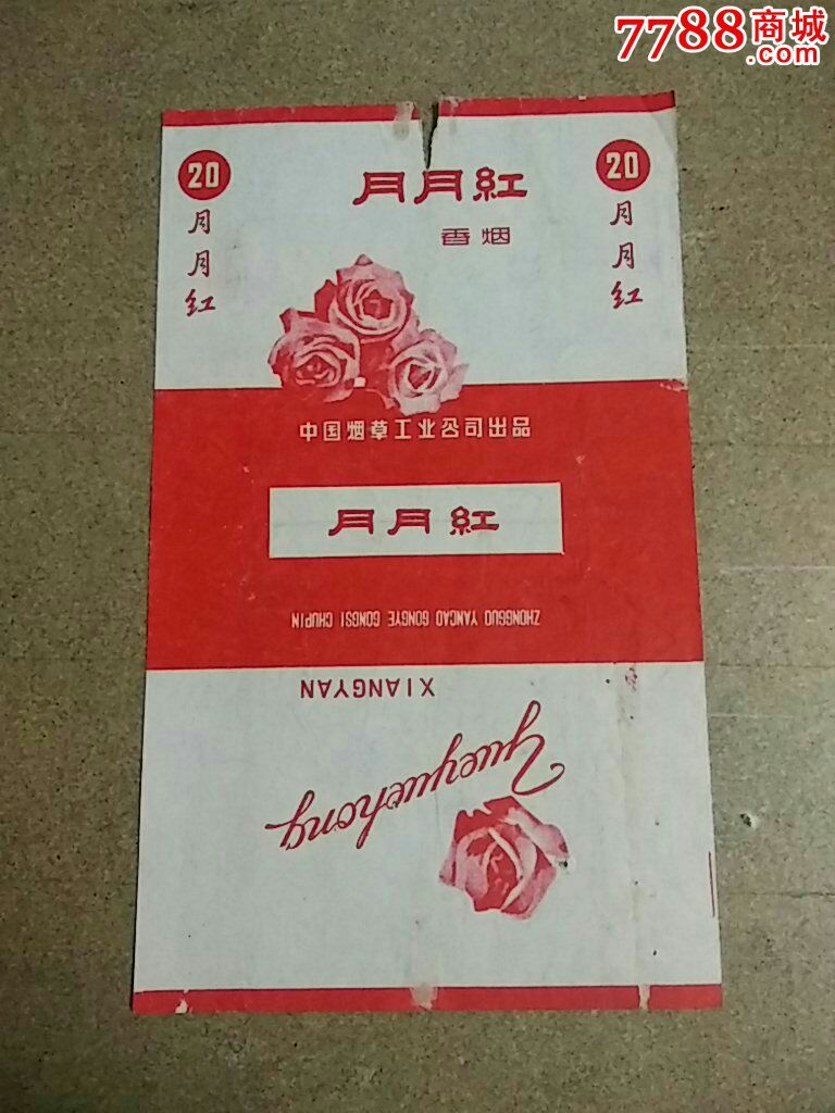 月月红