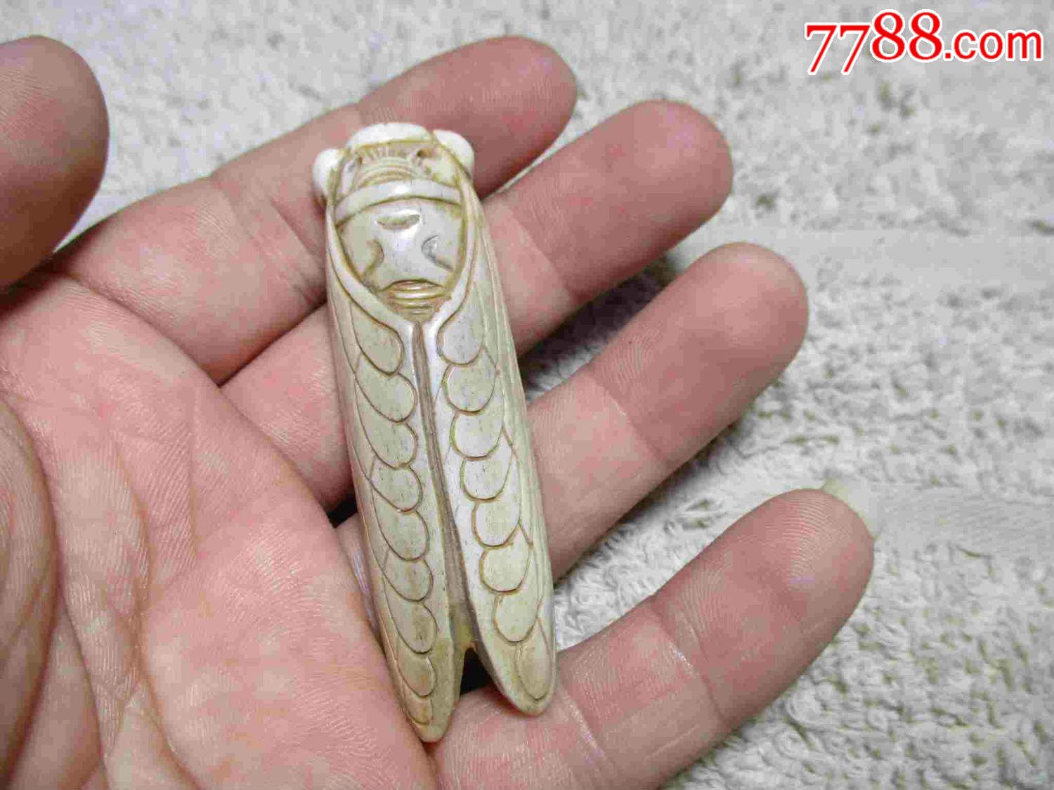 农村收到清代老骨蝉挂坠-价格:150元-se43244248-骨雕-零售-7788收藏