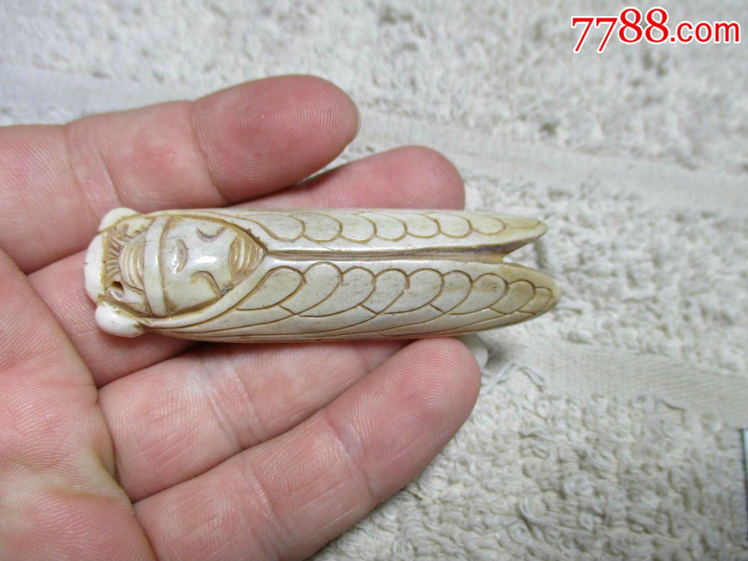 农村收到清代老骨蝉挂坠-价格:150元-se43244248-骨雕-零售-7788收藏