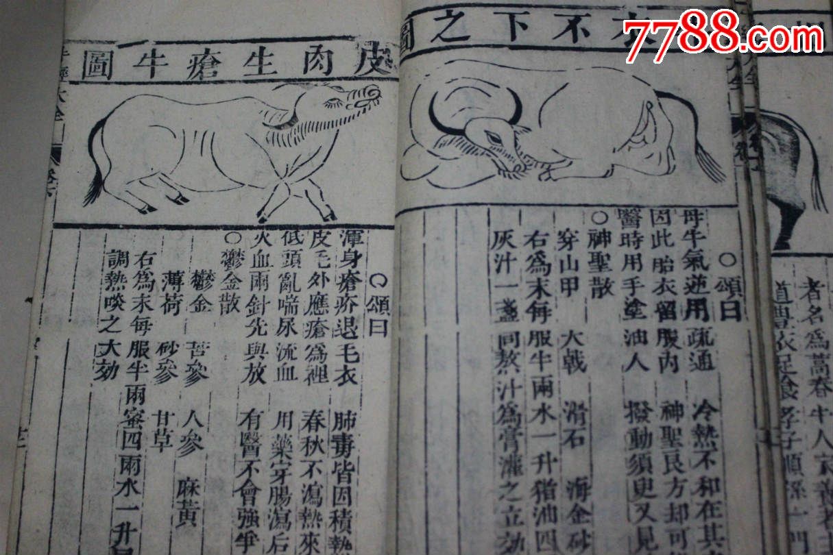 清代木刻本天禄斋藏版《新增图注牛经大全》两册一套全古代相牛术