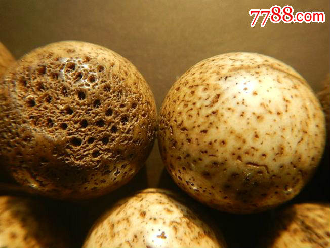 大猫骨特大珠子手串