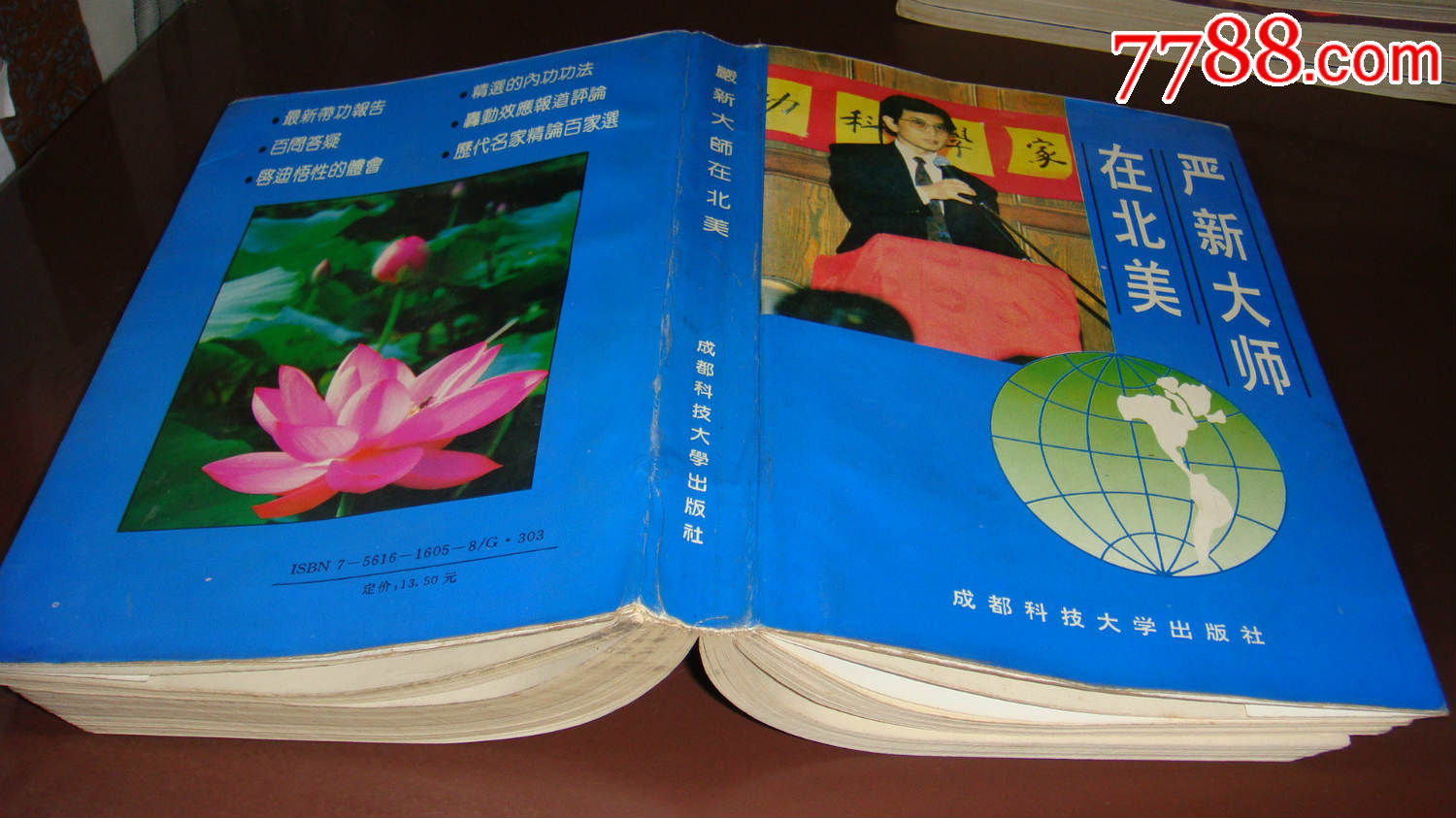 严新大师在北美