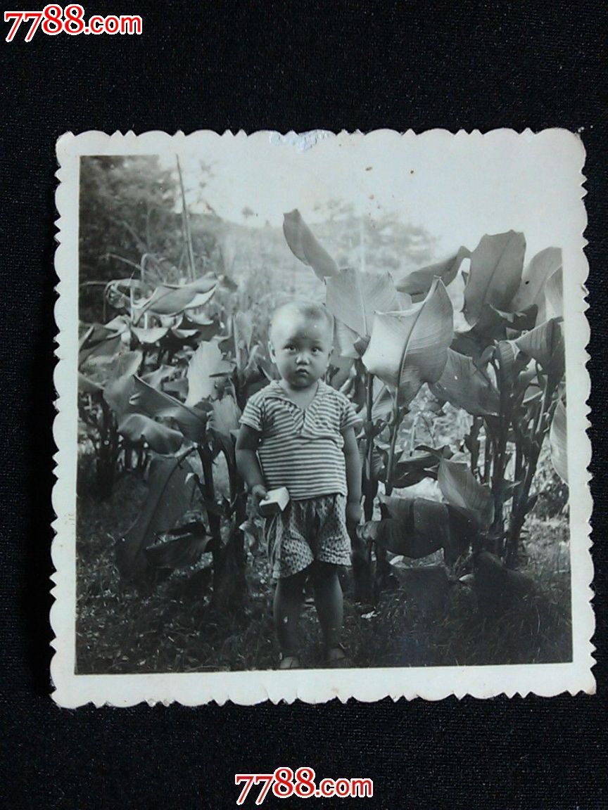 文革老照片:童年的我【尺寸5.8x6.0公分】!