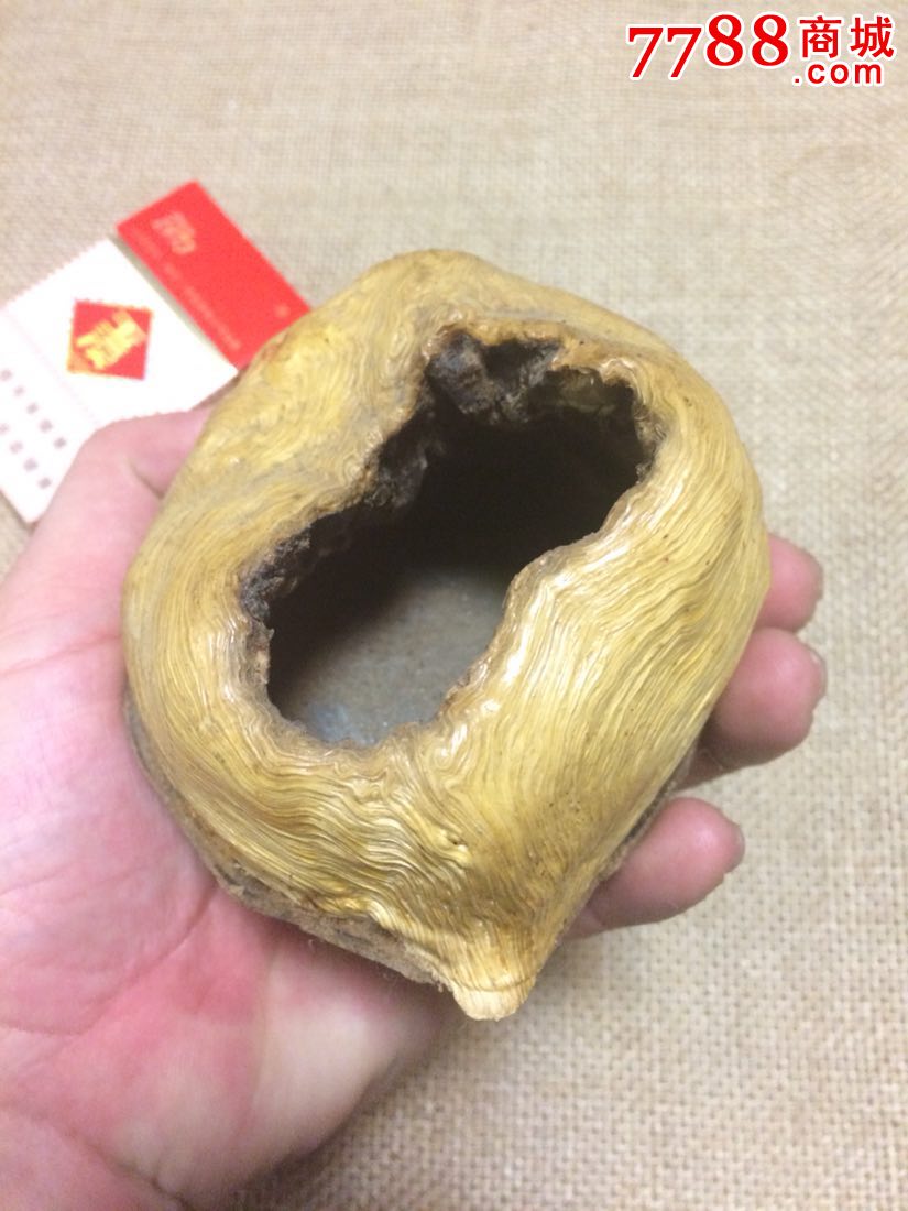 闲置一个松树瘤一烟缸储蓄罐