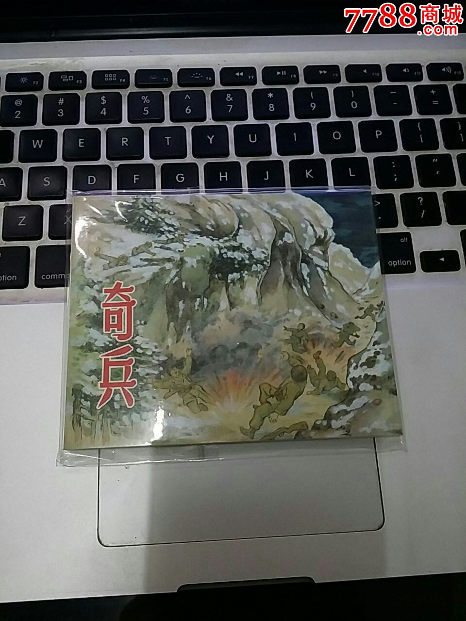 上海齐兵图片