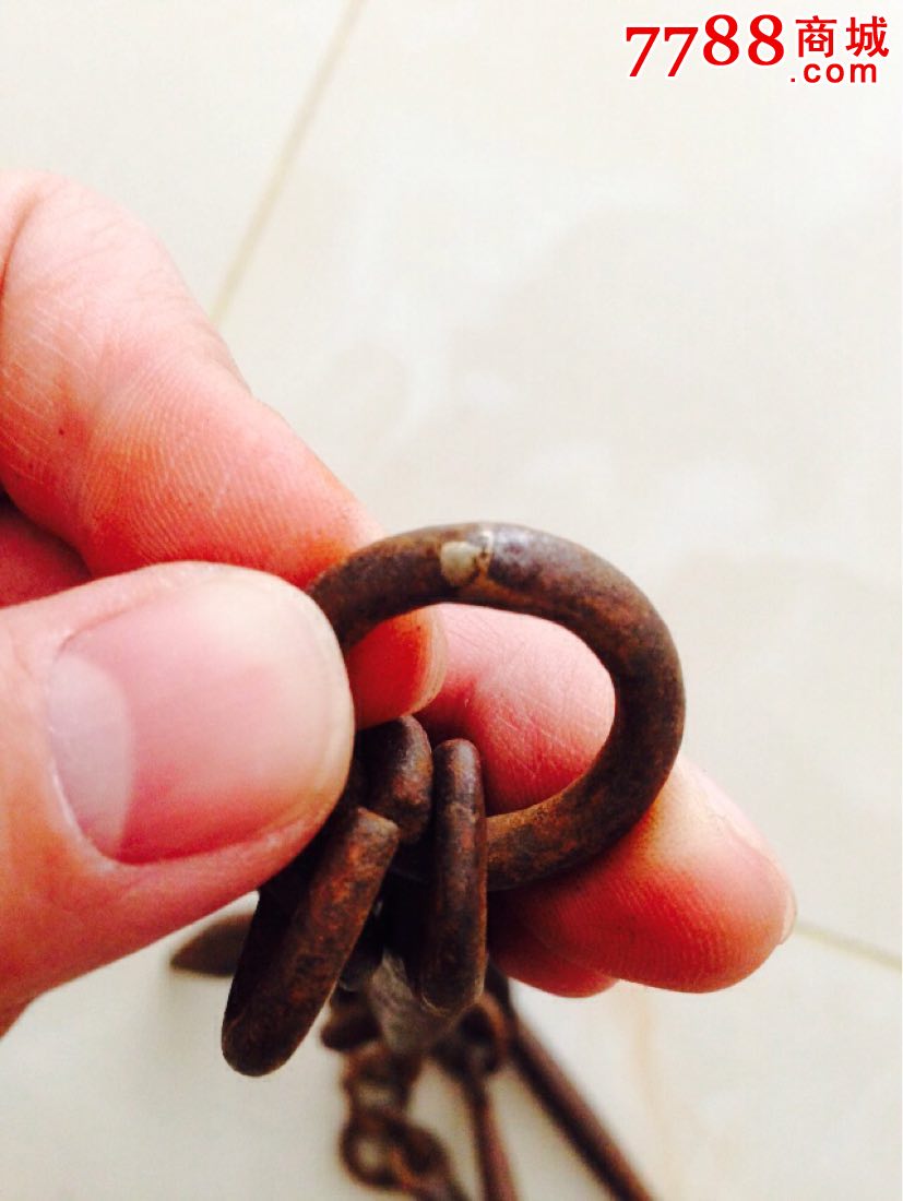 老链鞭武术用品(4)